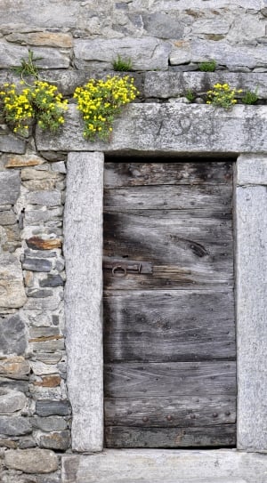 gray wooden door thumbnail