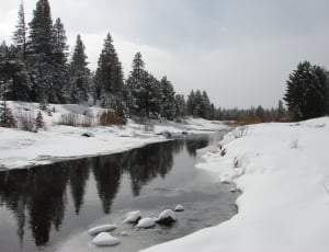 snowy body of water thumbnail
