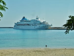 cruise ship docked during daytime thumbnail