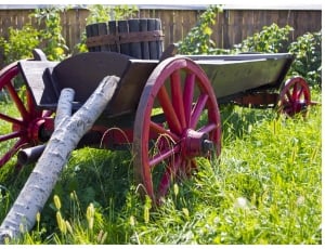 Cartload, Cart, Old Cart, Wagon, Loaded, grass, agriculture thumbnail