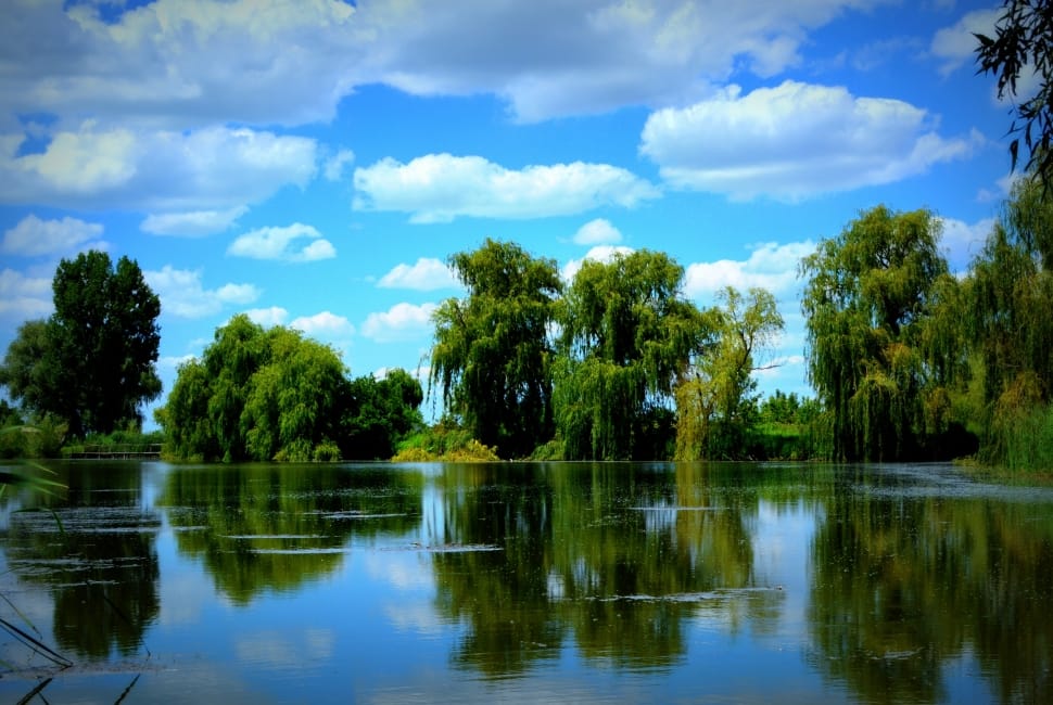 Mirror, Willow, Lake, Cloud, Blue, reflection, tree preview