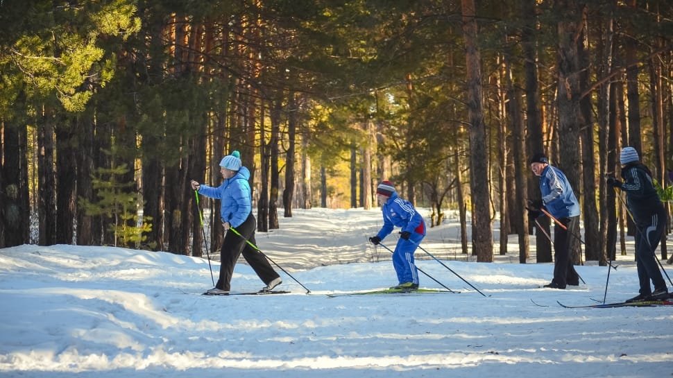 four people skiing on snowfield near green leaved trees during daytime preview