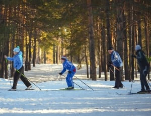 four people skiing on snowfield near green leaved trees during daytime thumbnail