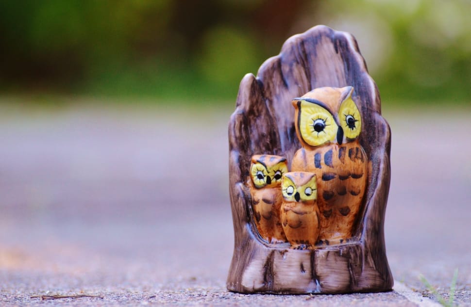 brown and yellow wooden owls preview
