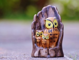 brown and yellow wooden owls thumbnail