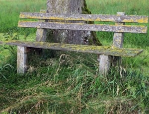 brown and yellow wooden bench thumbnail