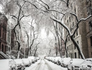 variety of cars covered with white snow during winter thumbnail
