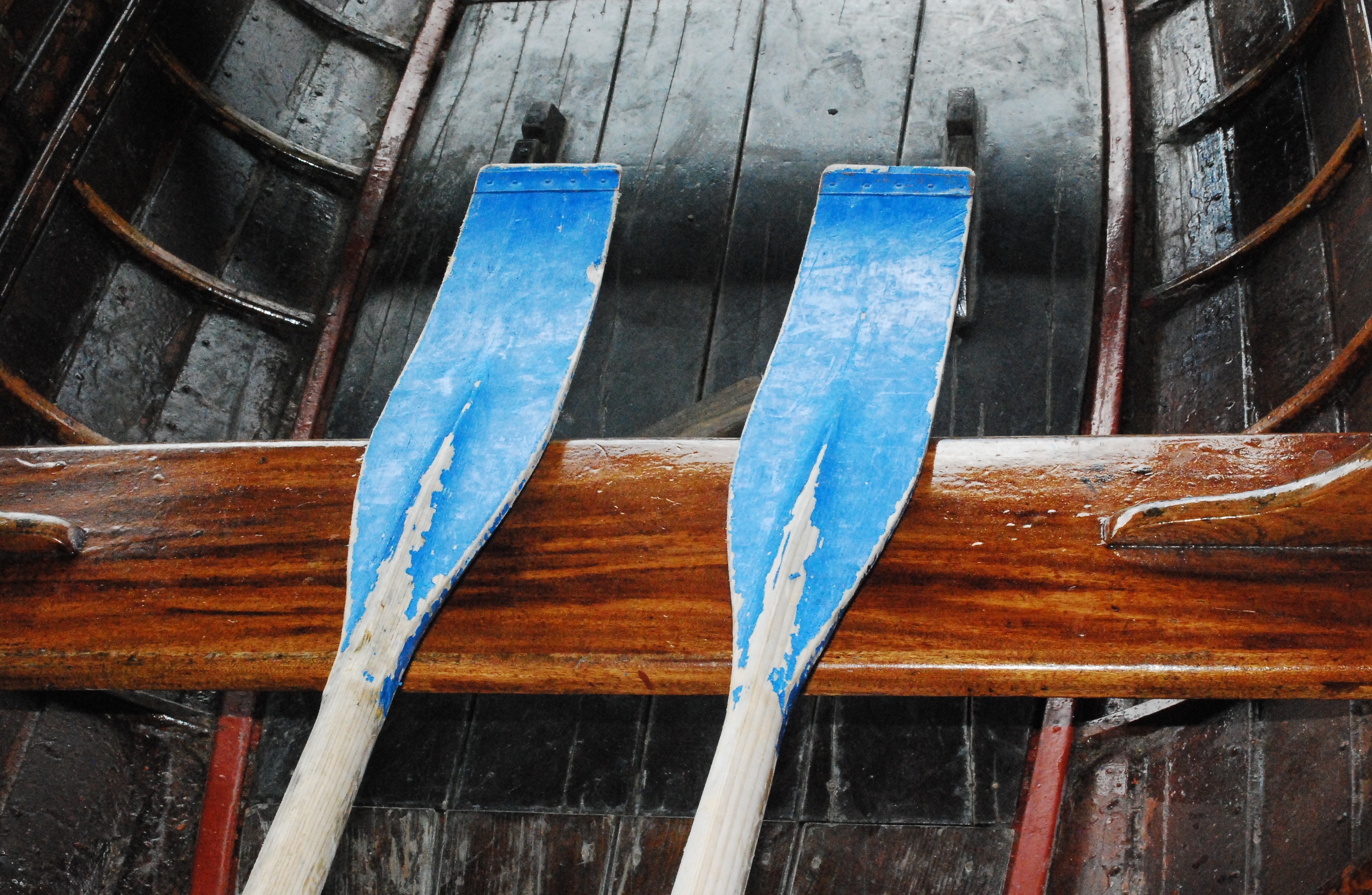 two blue boat oars