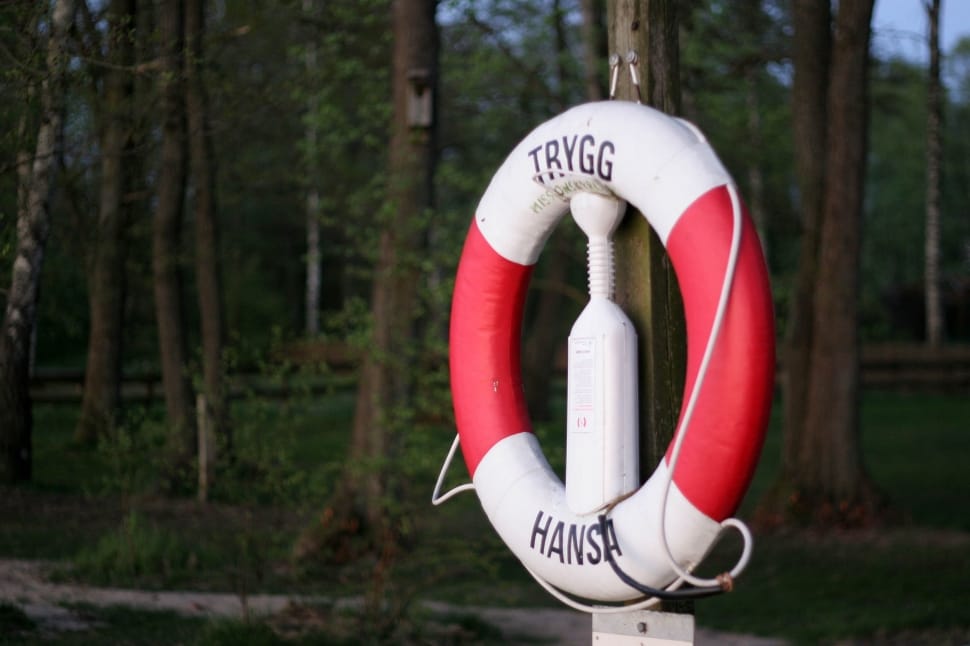 white and red  inflatable buoy hanged on brown wooden post preview