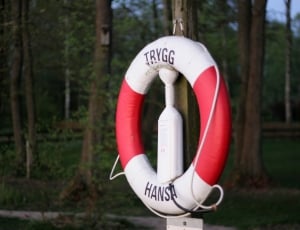 white and red  inflatable buoy hanged on brown wooden post thumbnail