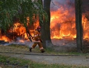 Firefighter, Hot, Trees, Fire, Burn, burning, flame thumbnail
