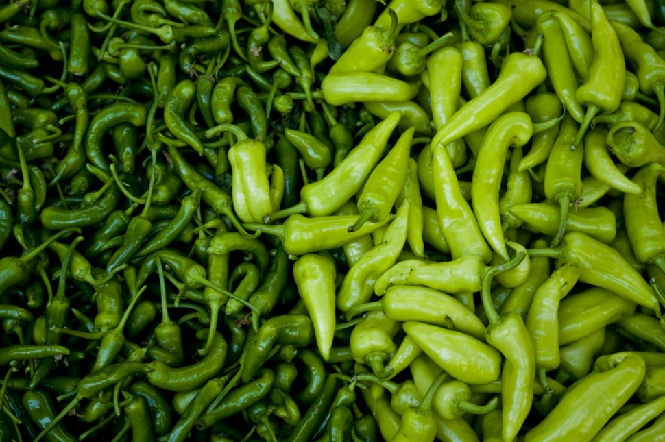 green belle pepper preview