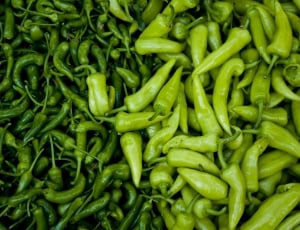 green belle pepper thumbnail