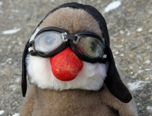 brown and white animal plush toy with black goggles thumbnail