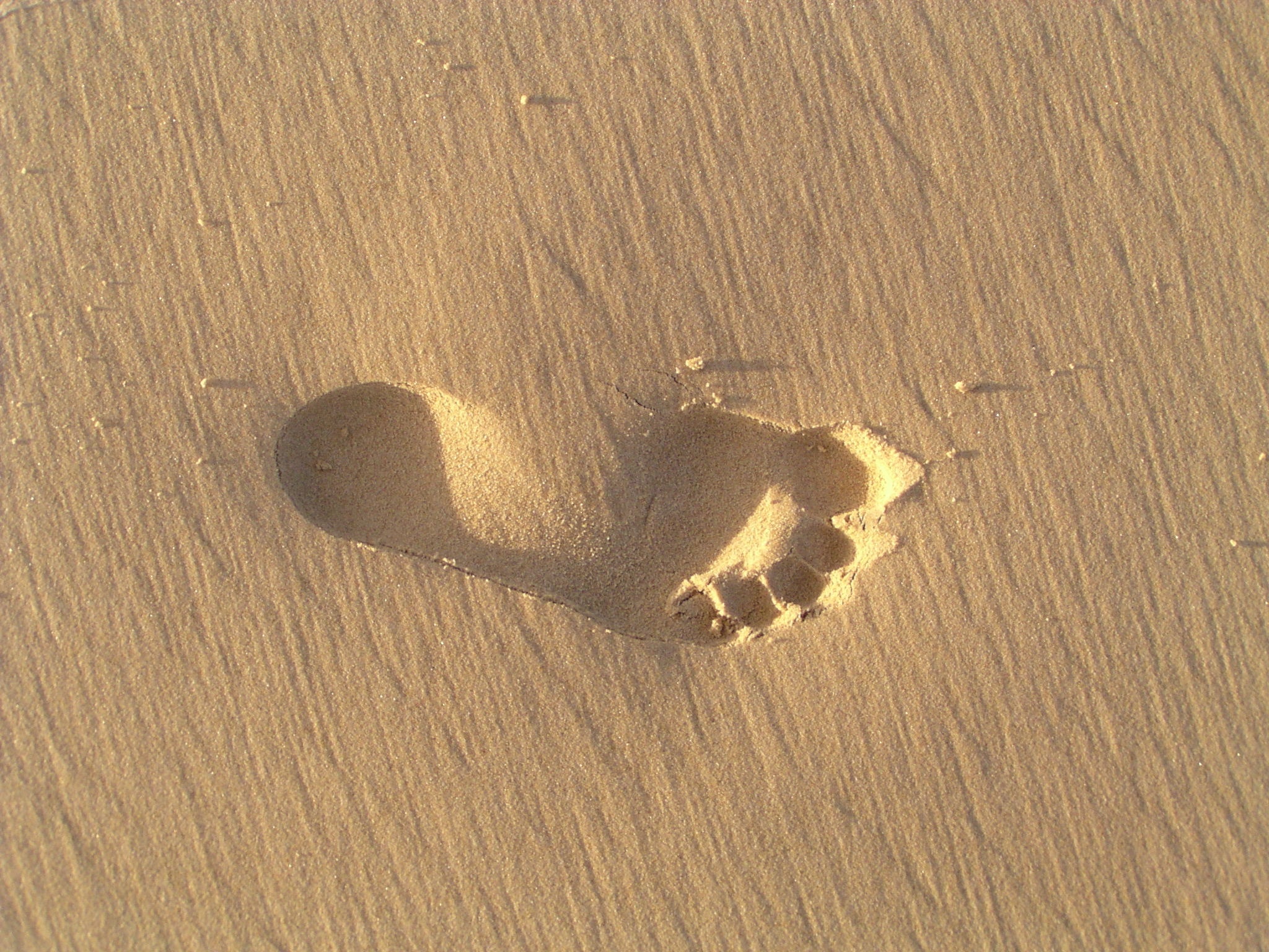 gray sand foot print