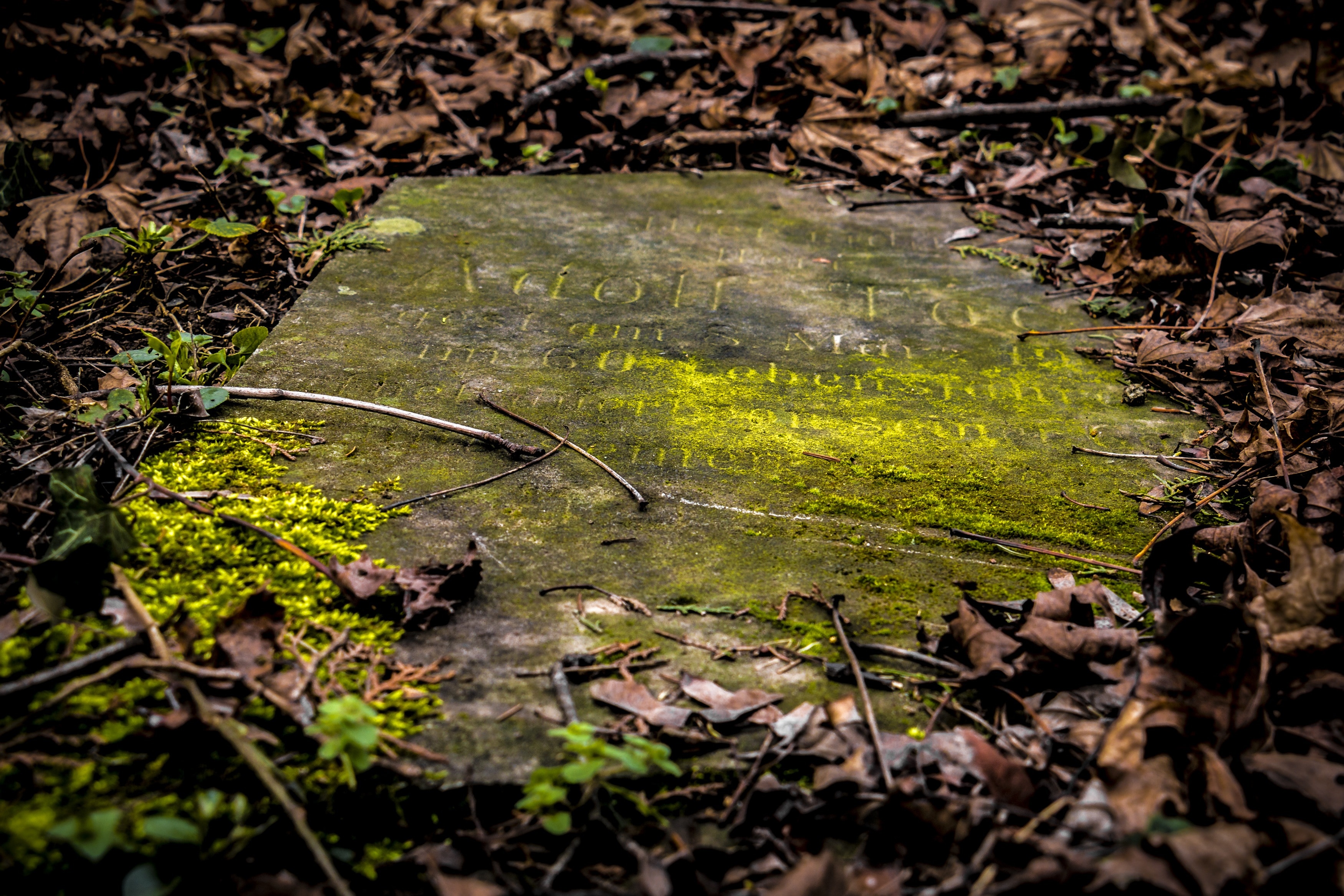 green and gray concrete grave stone