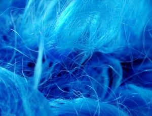Fibers, Hair, Close, Carnival, Wig, Blue, blue, science thumbnail