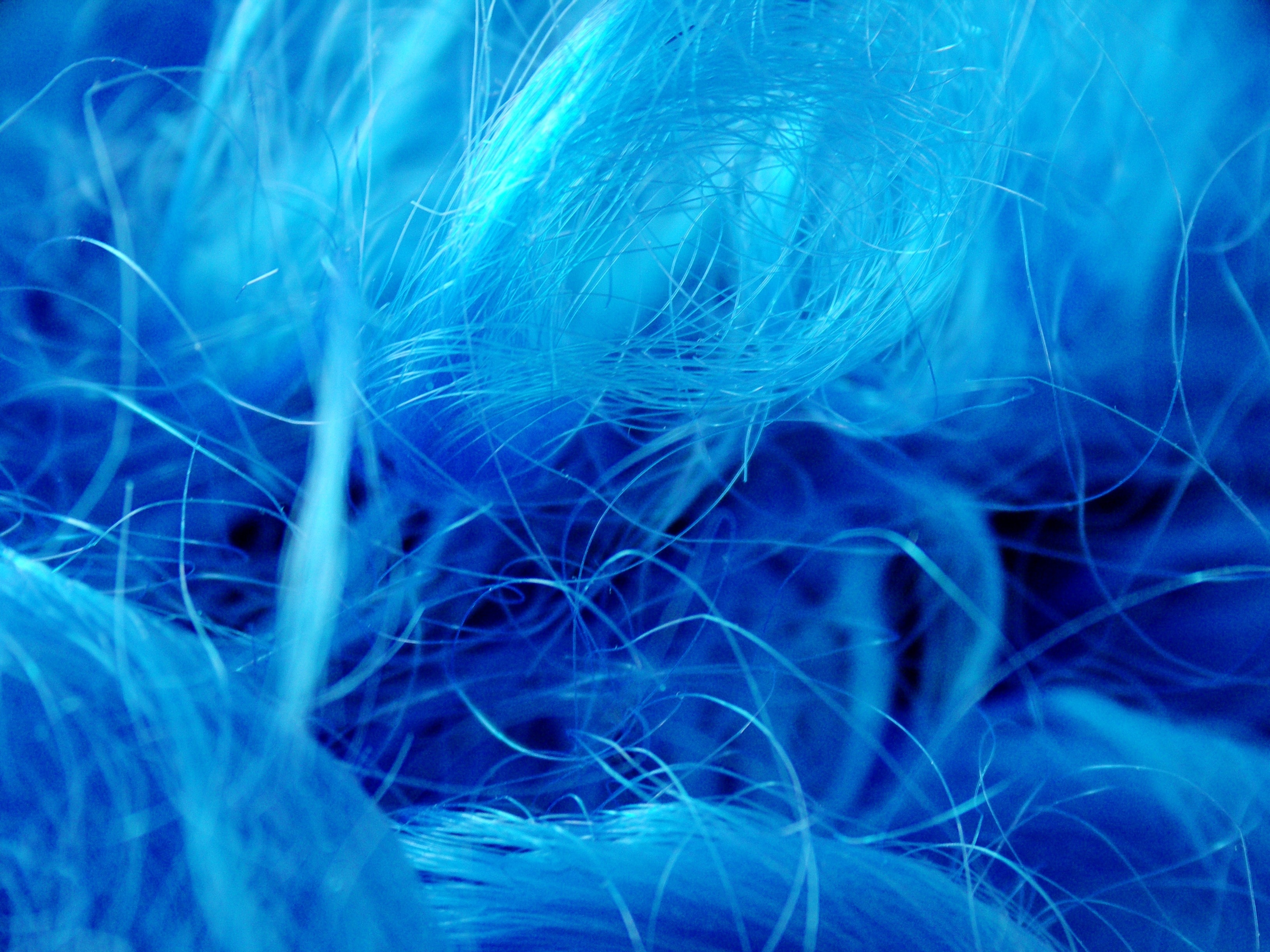 Fibers, Hair, Close, Carnival, Wig, Blue, blue, science