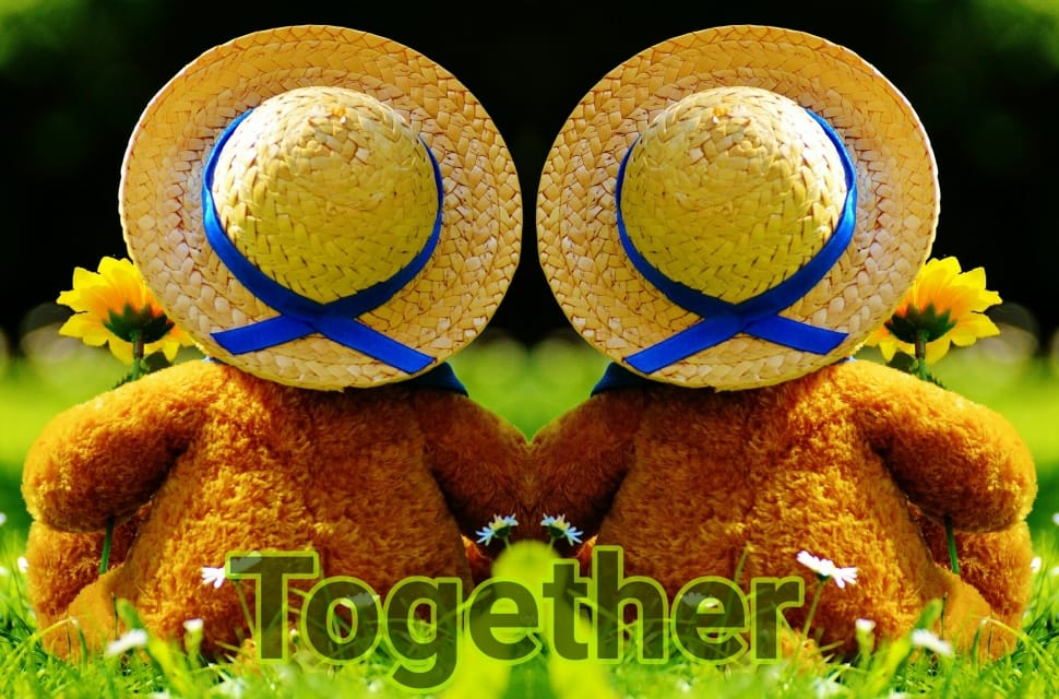 Together, Look Together Into The Future, no people, yellow preview