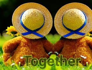 Together, Look Together Into The Future, no people, yellow thumbnail