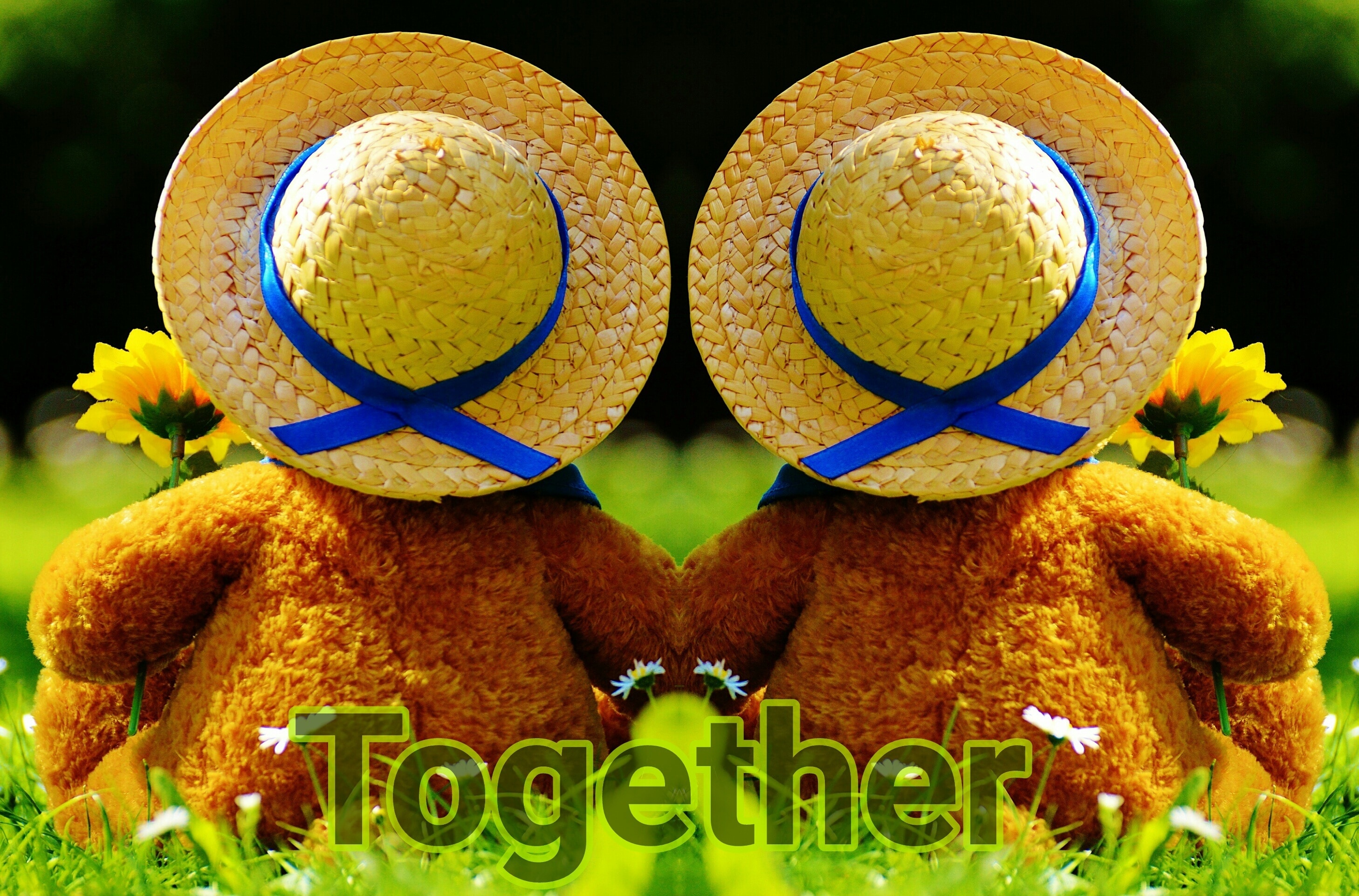 Together, Look Together Into The Future, no people, yellow