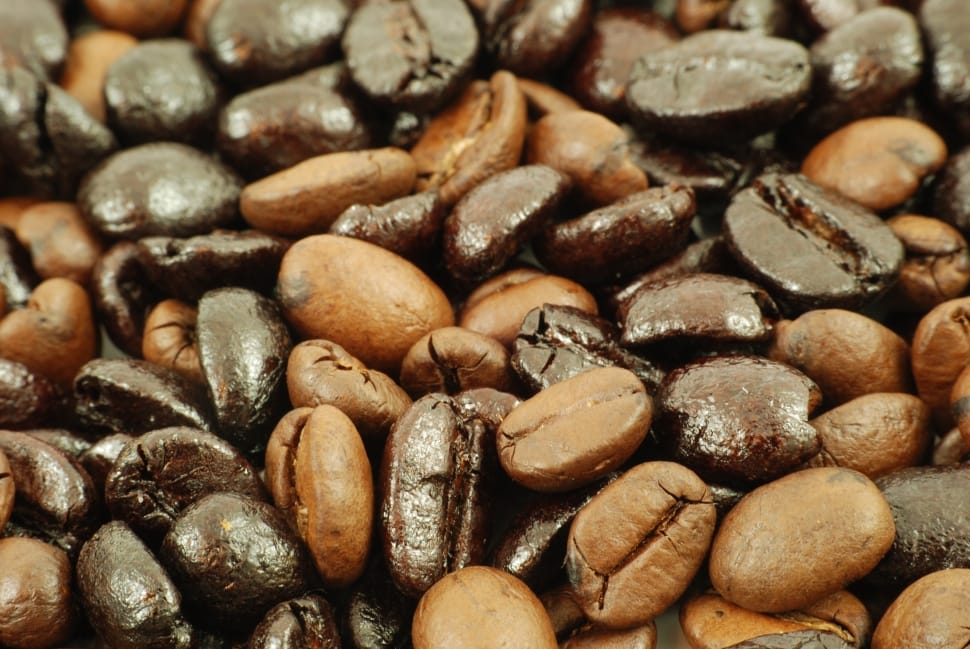roasted coffee bean lot preview