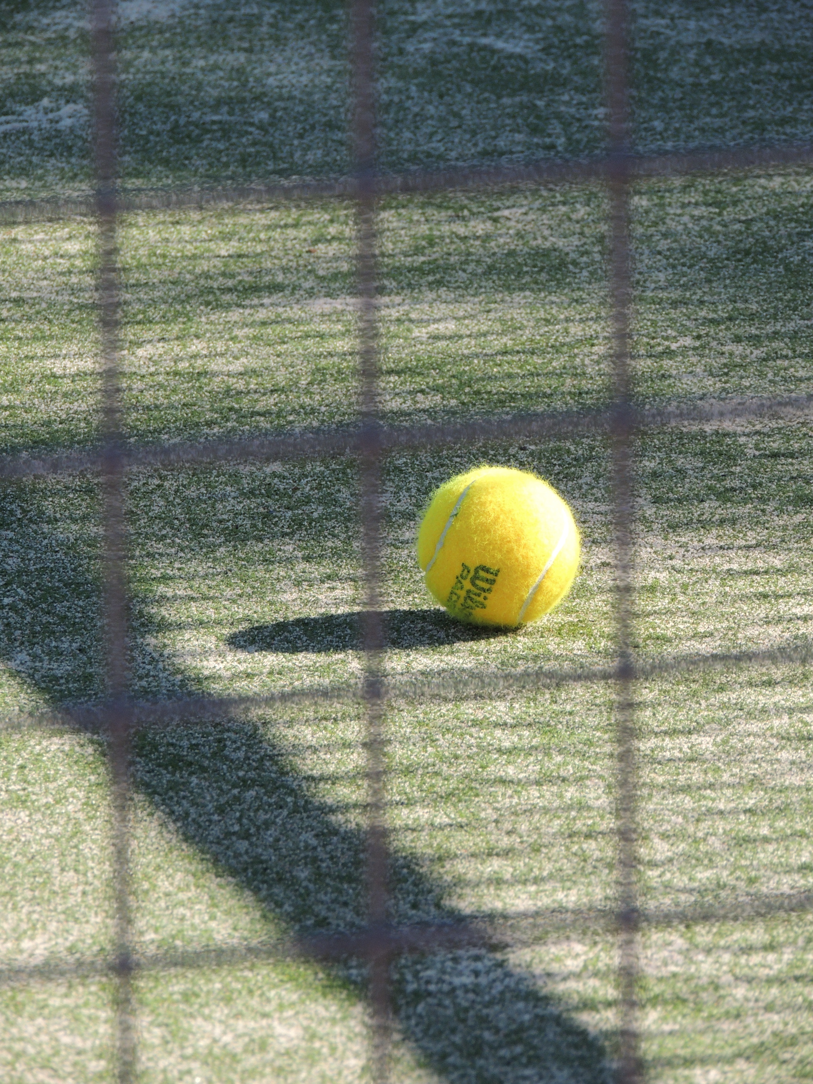 yellow lawn tennis ball on field