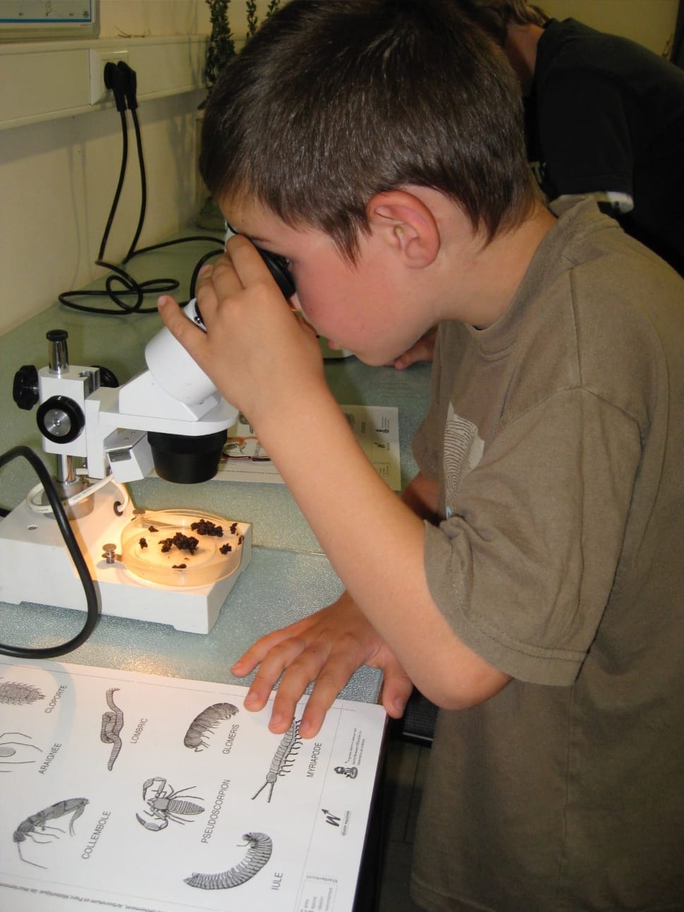 boy looking on microscope preview
