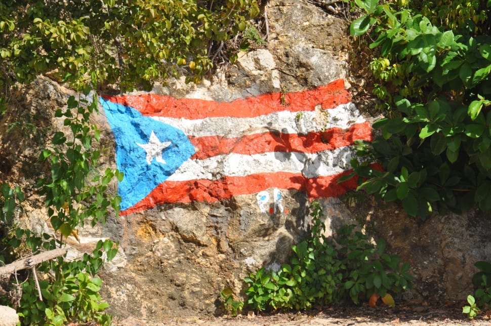 texas flag preview