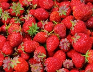 strawberry fruits \ thumbnail