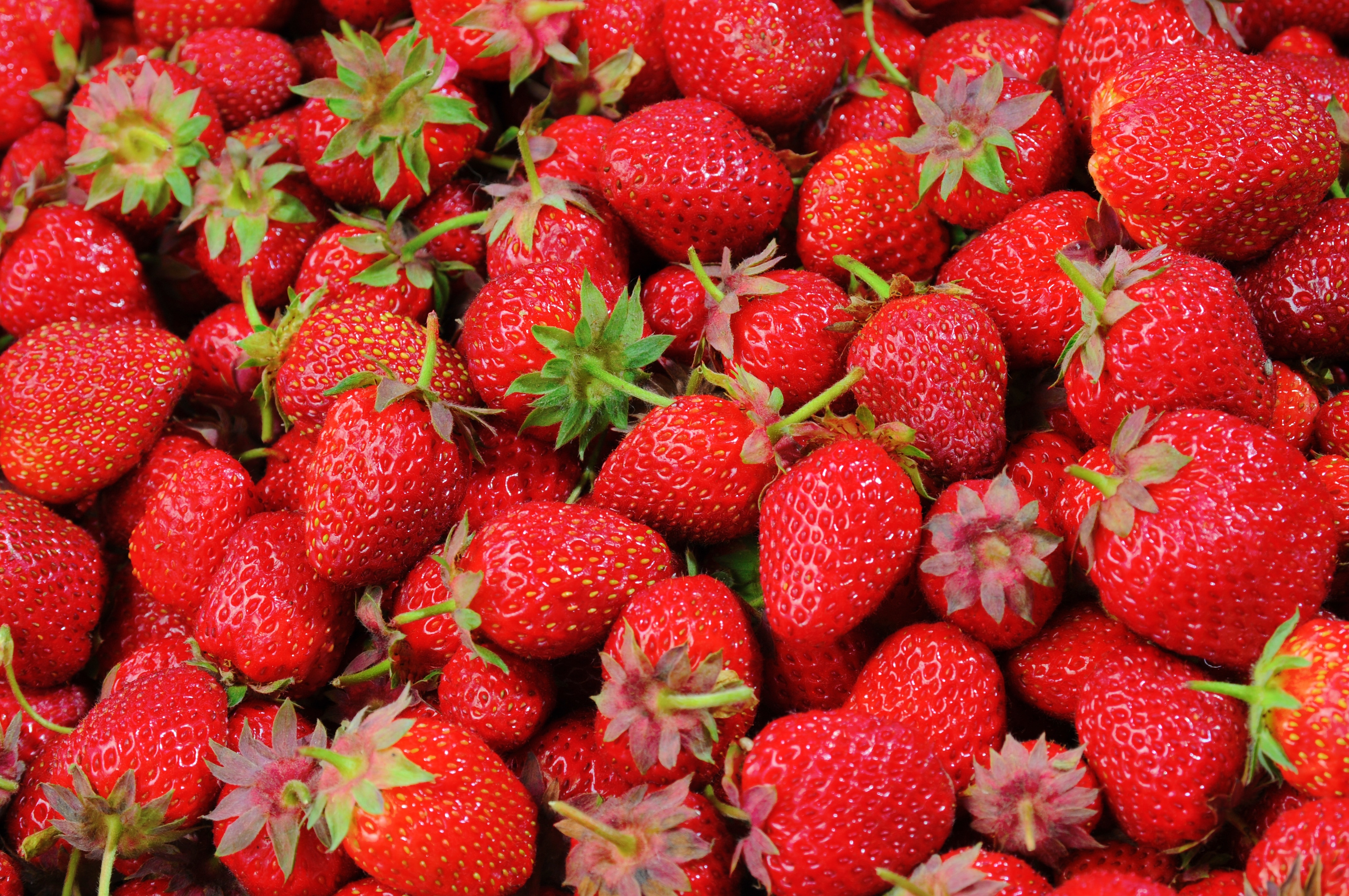 strawberry fruits \