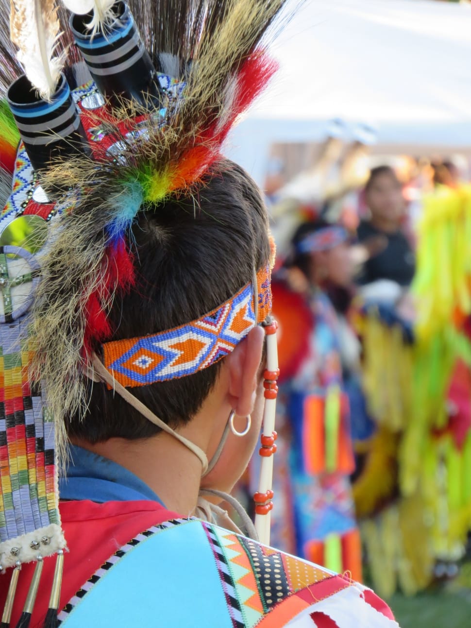 First Nation, Headdress, Warrior, headshot, rear view preview