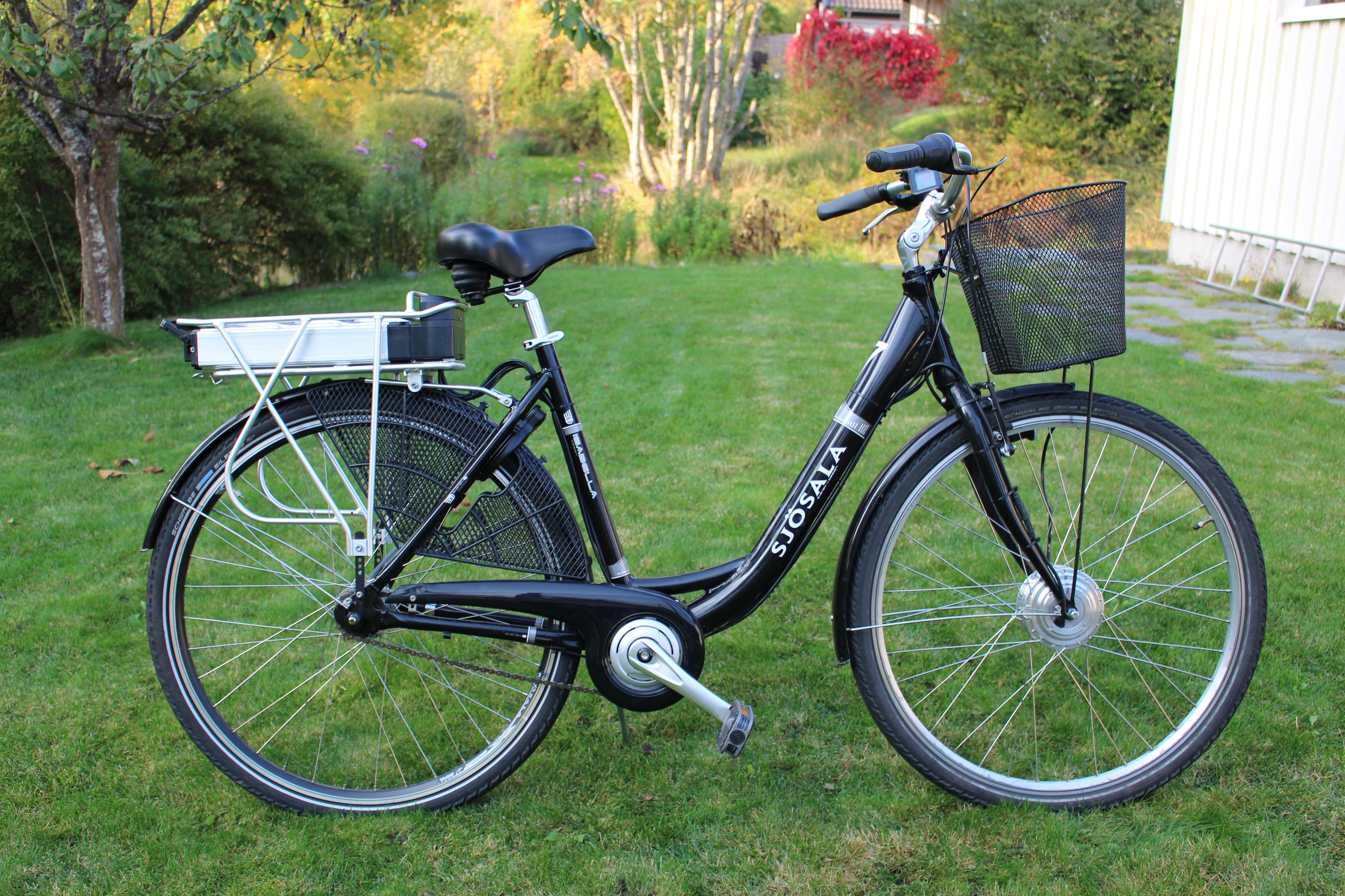 Electric, Women'S Bicycle, Electric Bike, bicycle, grass
