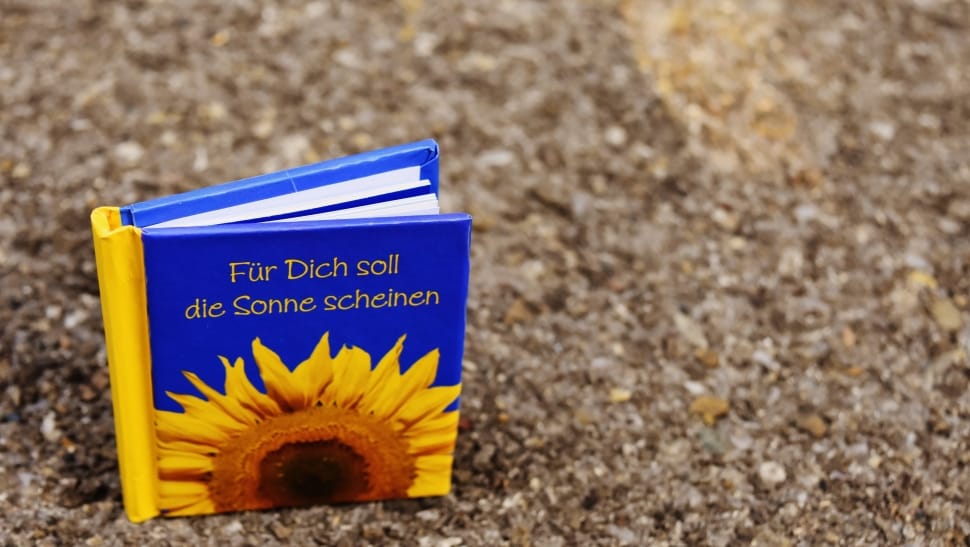 Fur Dich Soll die Sonne Scheinen book on floor preview