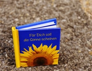 Fur Dich Soll die Sonne Scheinen book on floor thumbnail