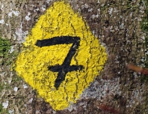 yellow and black 7 writing on tree trunk thumbnail