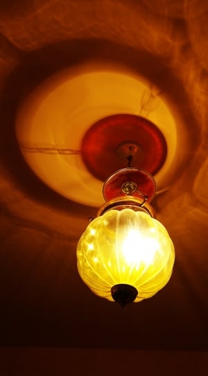close up photo of pumpkin bulb thumbnail