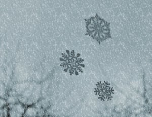 3 snowflakes thumbnail