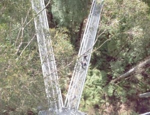 gray metal bridge surrounded by green leaf trees thumbnail