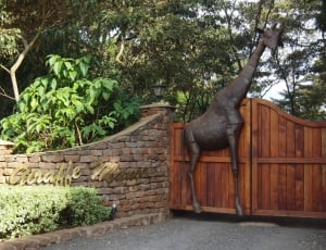 brown giraffe statuette embossed in brown gate thumbnail