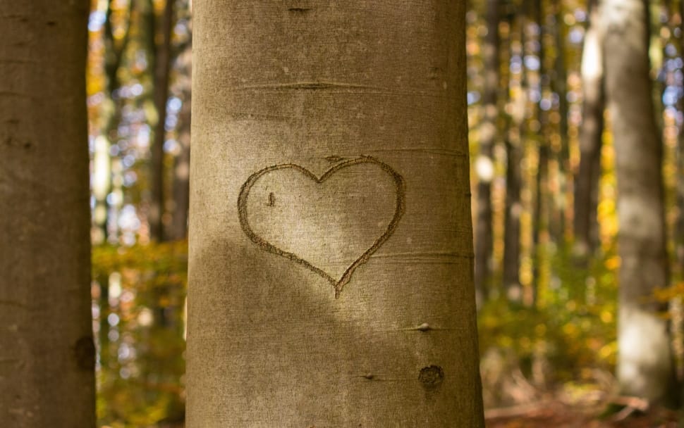 brown tree with heart engrave preview
