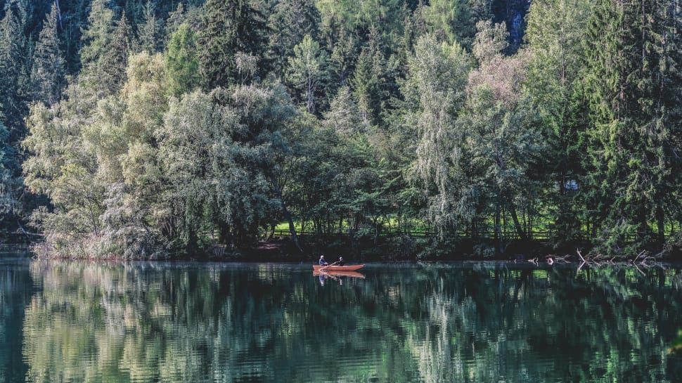 two person on boat on body of water surrounded by trees during daytime preview