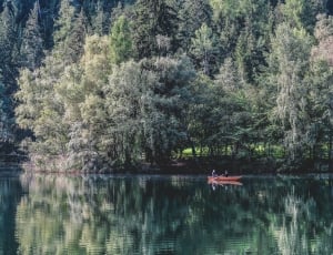 two person on boat on body of water surrounded by trees during daytime thumbnail
