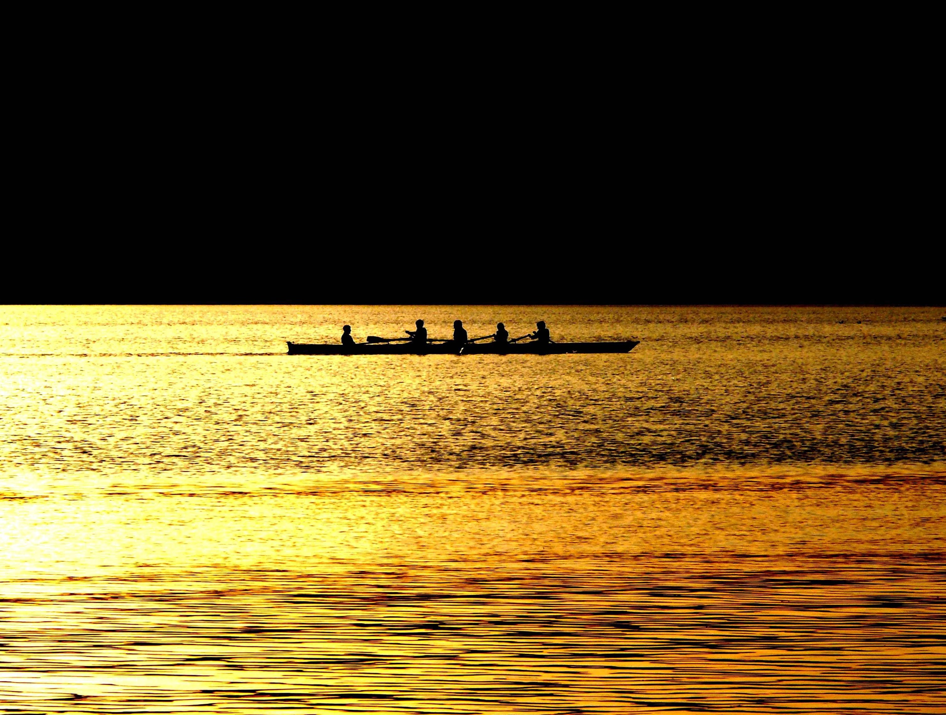 Rowing, Quad, Water, Rowing Boat, Gold, water, silhouette