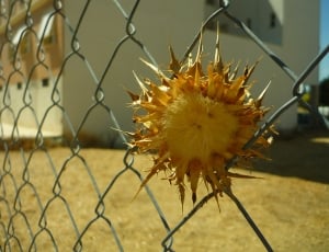 Locked Up, Wired, Thistle, Dam, Solar, safety, protection thumbnail