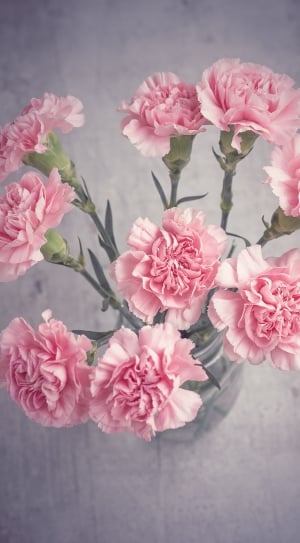 pink carnations centerpiece thumbnail