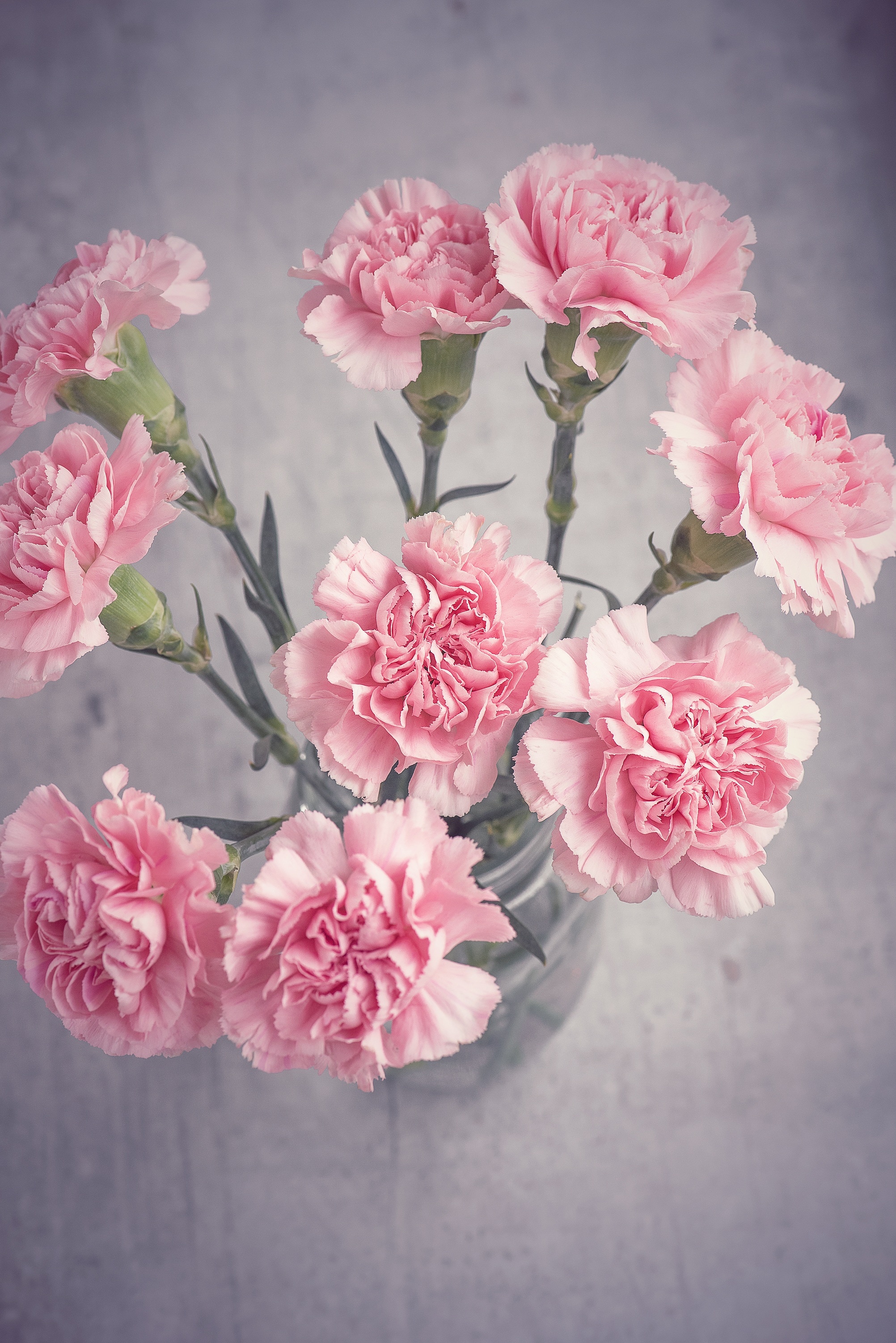 pink carnations centerpiece