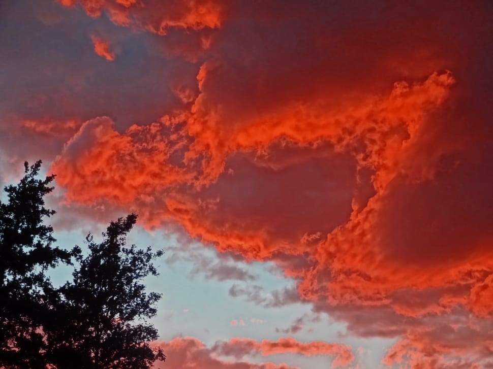 Afterglow Clouds Summer Sunset Sky Sunset Tree Free Image Peakpx
