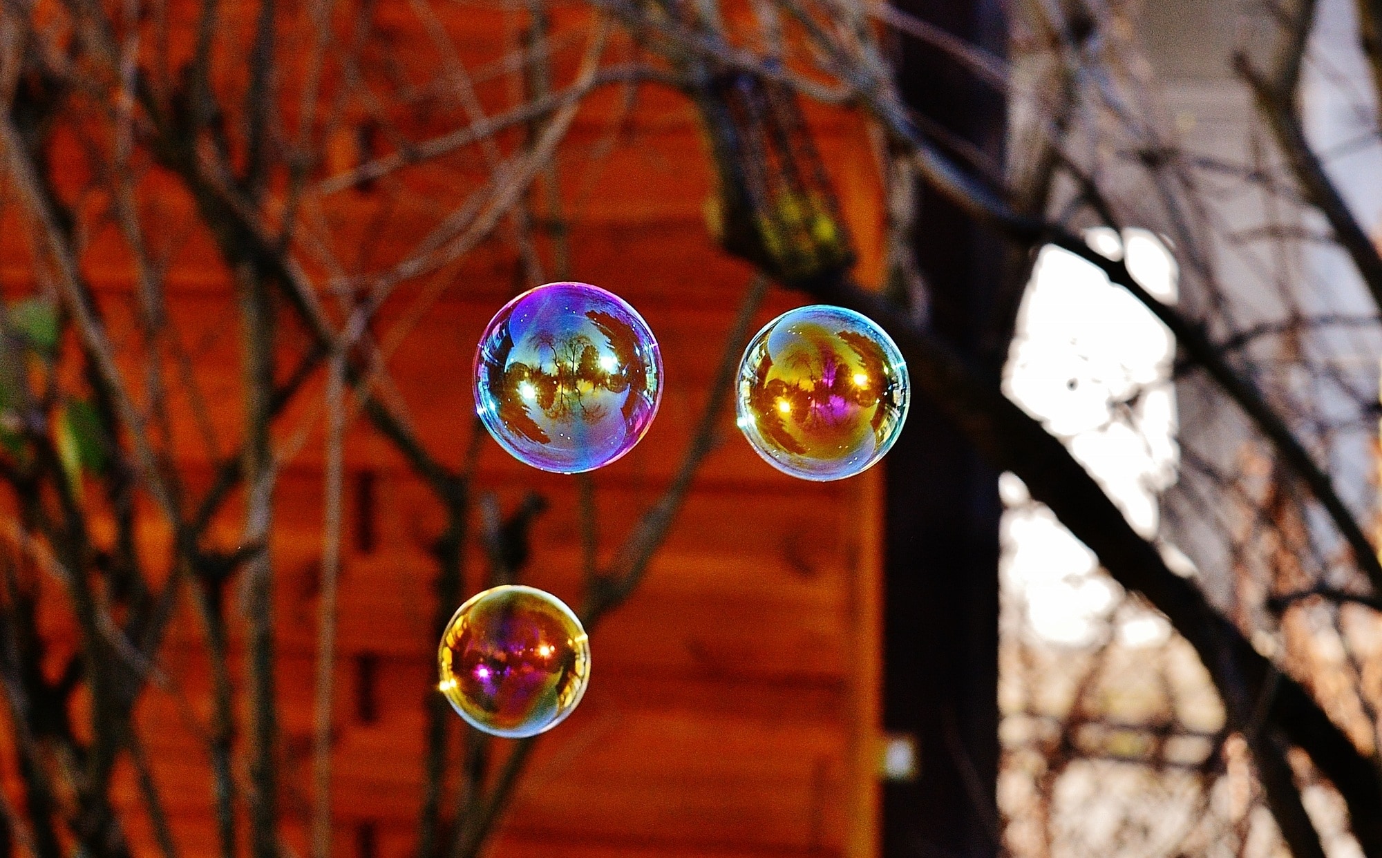 Soap Bubbles, Colorful, Balls, bubble, no people