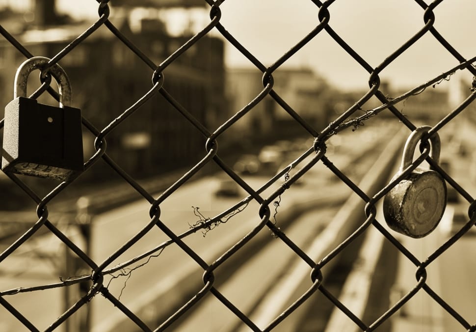 close up and grayscale photography of metal locks on chain link fence preview
